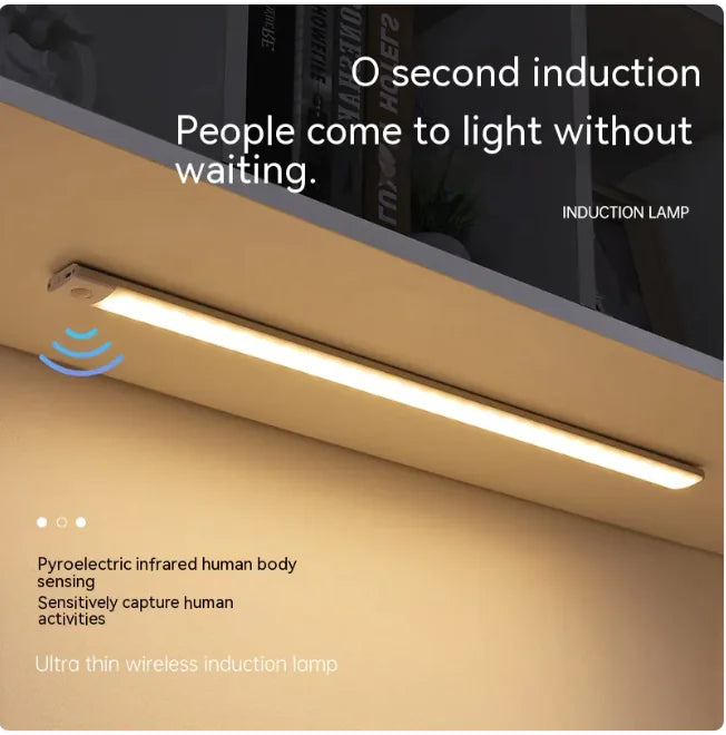 Motion Sensor LED Light